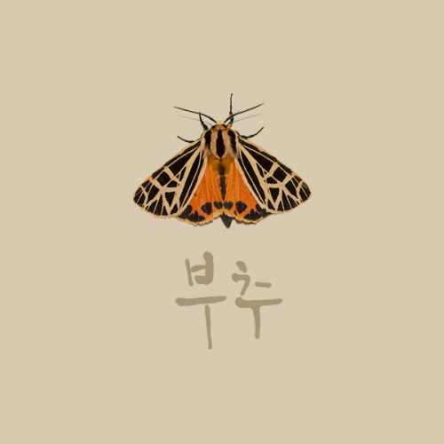 mariposacolor