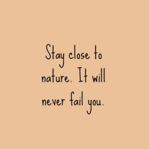 stay